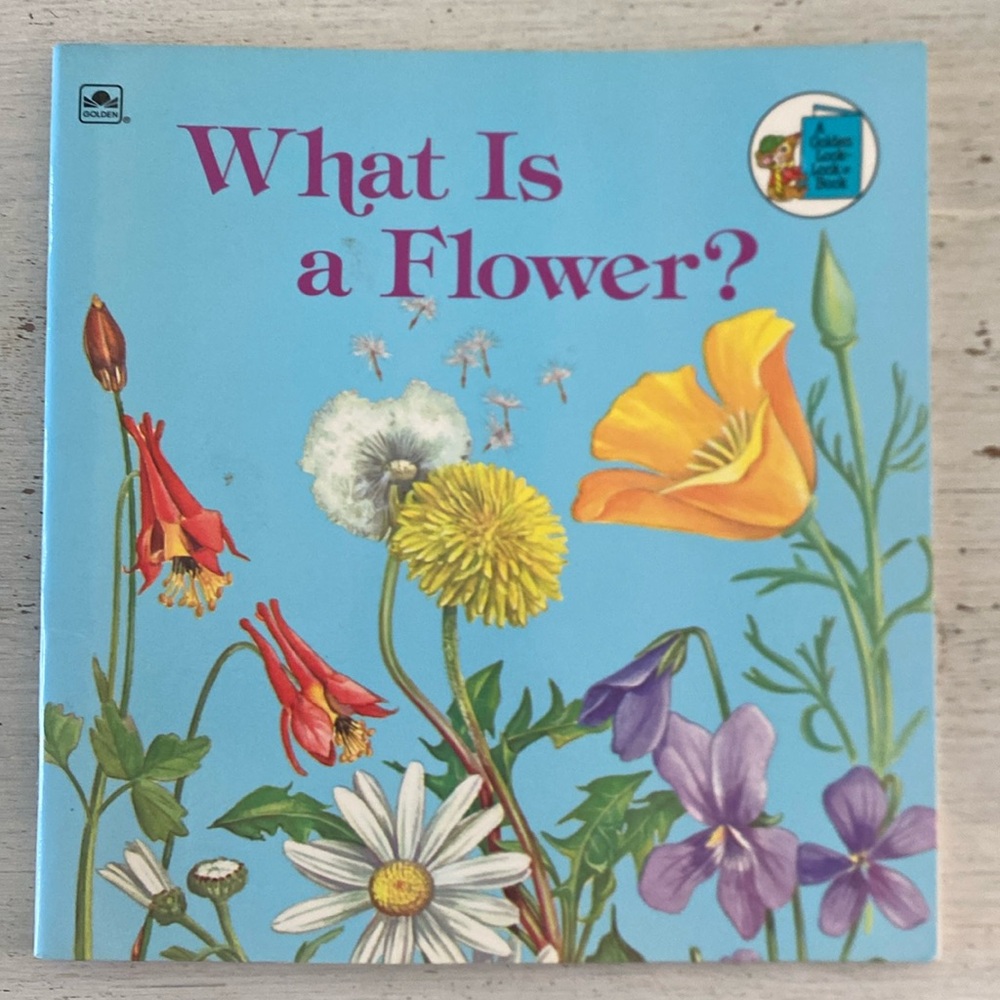 1975 ‘What is a Flower’ Book by Jenifer Day. Illustrations by Dorothea Barlowe